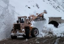 Галереи жизни ценой в $51 миллион