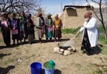 Devashtich: Farmers were taught to make natural drug for trees’ treatment