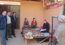 Bibidzhon Guest House teaches carpet weaving to tourists (VIDEO)
