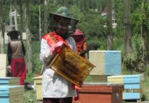 Как девушки в Горномастчинском районе занимаются пчеловодством (ФОТО)