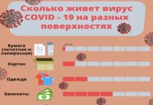 Сколько “живет” COVID-19 на разных поверхностях (Инфографика)