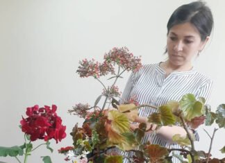 Наргиза Мухаммадкулова: “Цветы требуют любви и ласки, как маленький ребенок»