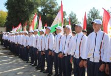 Два региона Согда выполнили план осенней кампании