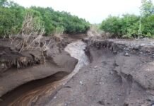 Сели в Горно-Мастчинском районе затопили сельскохозяйственные угодия