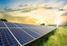 Получит ли китайская компания землю в Согде для выпуска солнечных панелей?